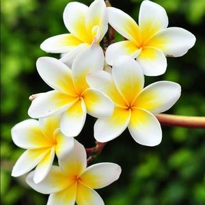 Meet your Posher, Miriam